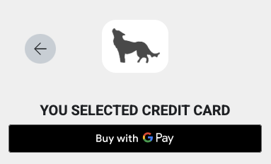 Google-Pay_Example.png
